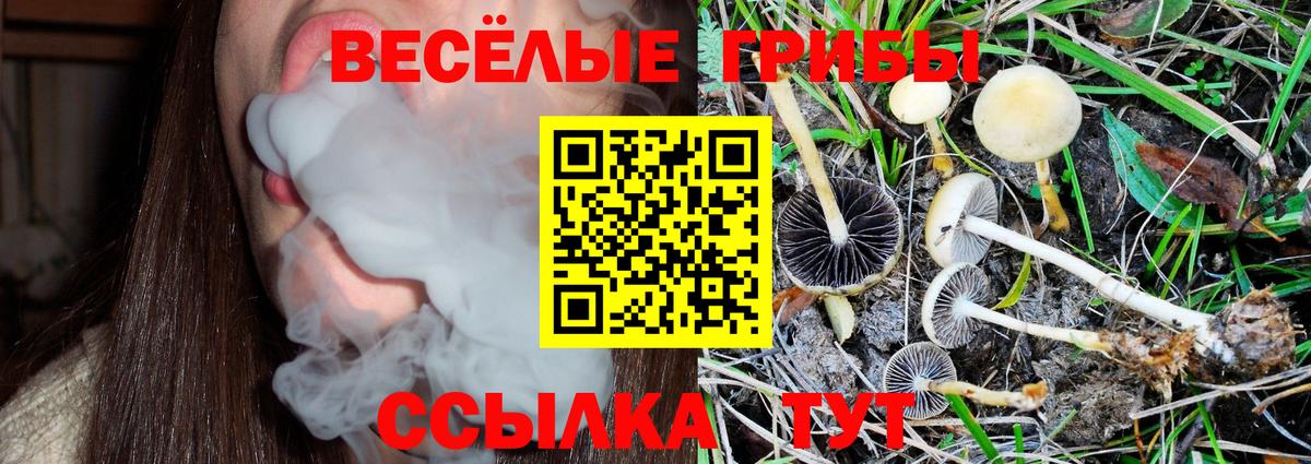 Калуга  Псилоцибиновые грибы Magic Shrooms  Вход с VPN  купить наркотики сайты  Галлюциногенные грибы Magic Shrooms 