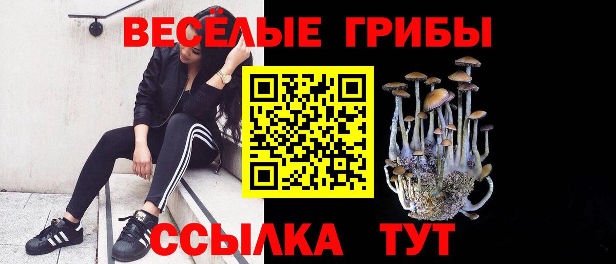 Псилоцибиновые грибы MAGIC MUSHROOMS Калуга